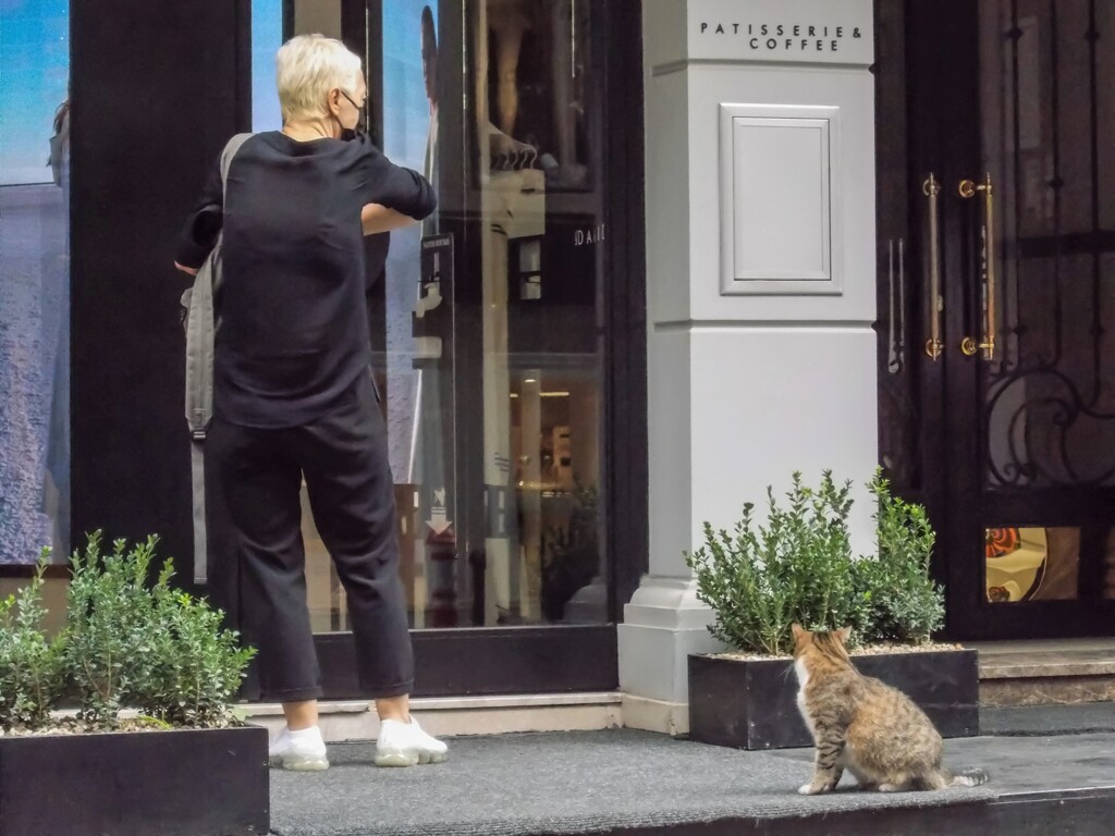 どうしたの？　鍵がみつからニャイの？♡～