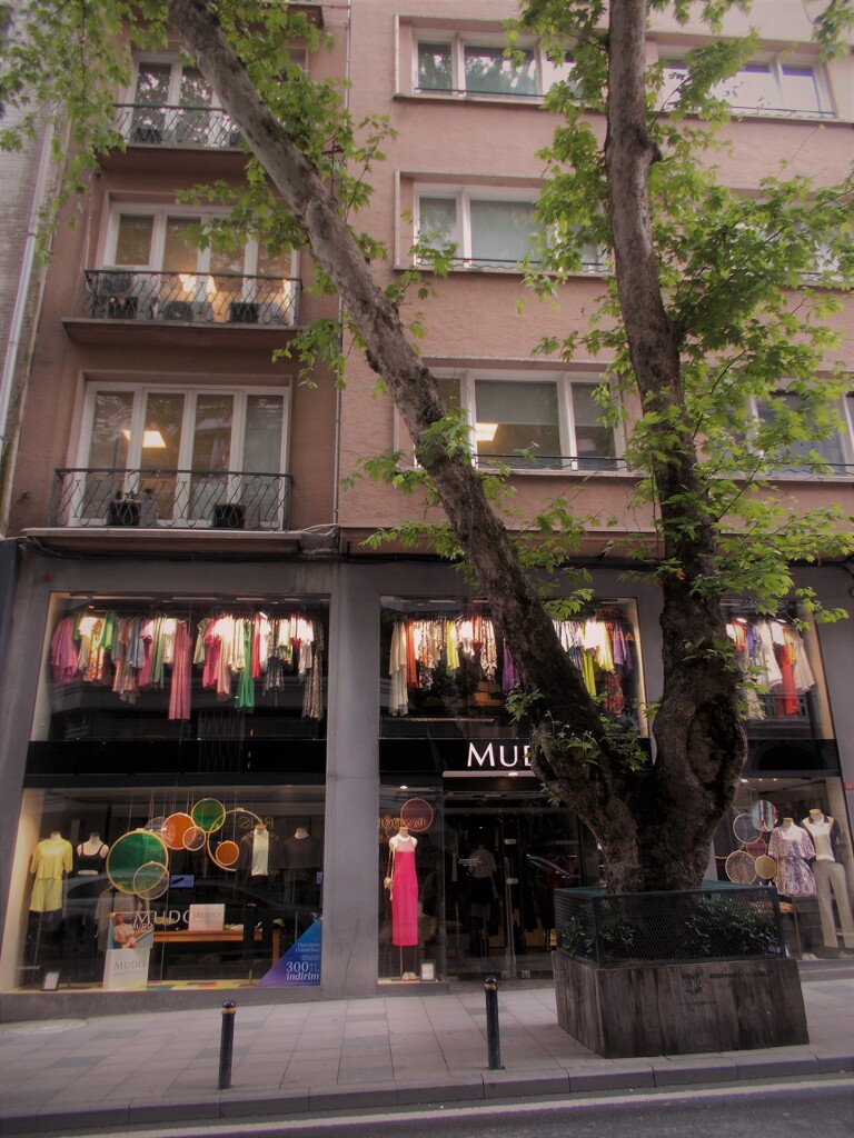 灯ともし頃～　色　いろいろ～～