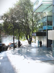 ガラスの中のオフィス街で～☆