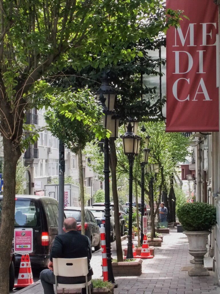 ”もうすぐ街路樹の白いムクゲが咲くよ～又おいで～”って