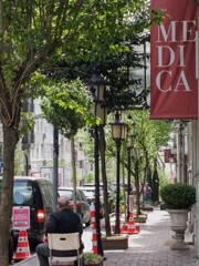 ”もうすぐ街路樹の白いムクゲが咲くよ～又おいで～”って