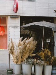 黒いアンブレラ～～☂