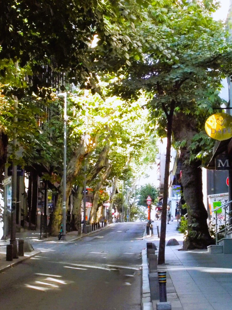 朝陽が独り占めの商店街～～☆♪～