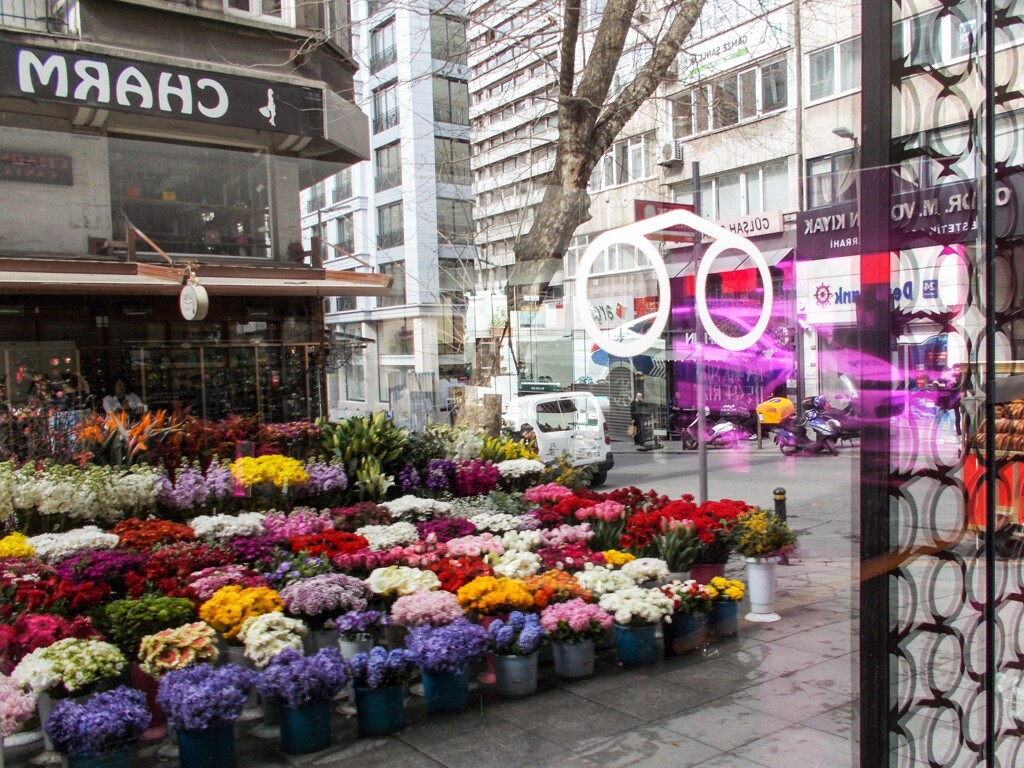 ジプシーの花屋さんのレフレクション～☆～