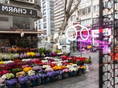 ジプシーの花屋さんのレフレクション～☆～