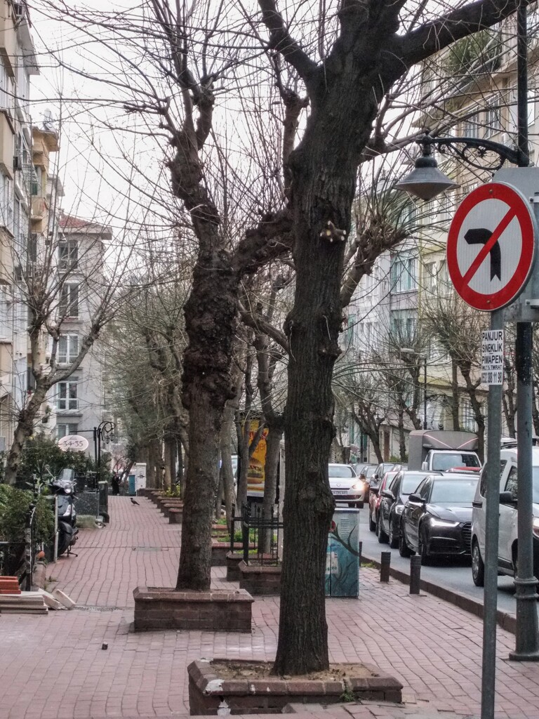 イスタンブール　朝の住宅街～