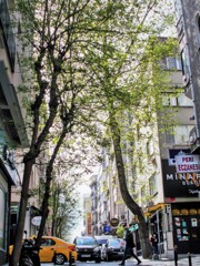 特別な朝～♪　空へ～♪