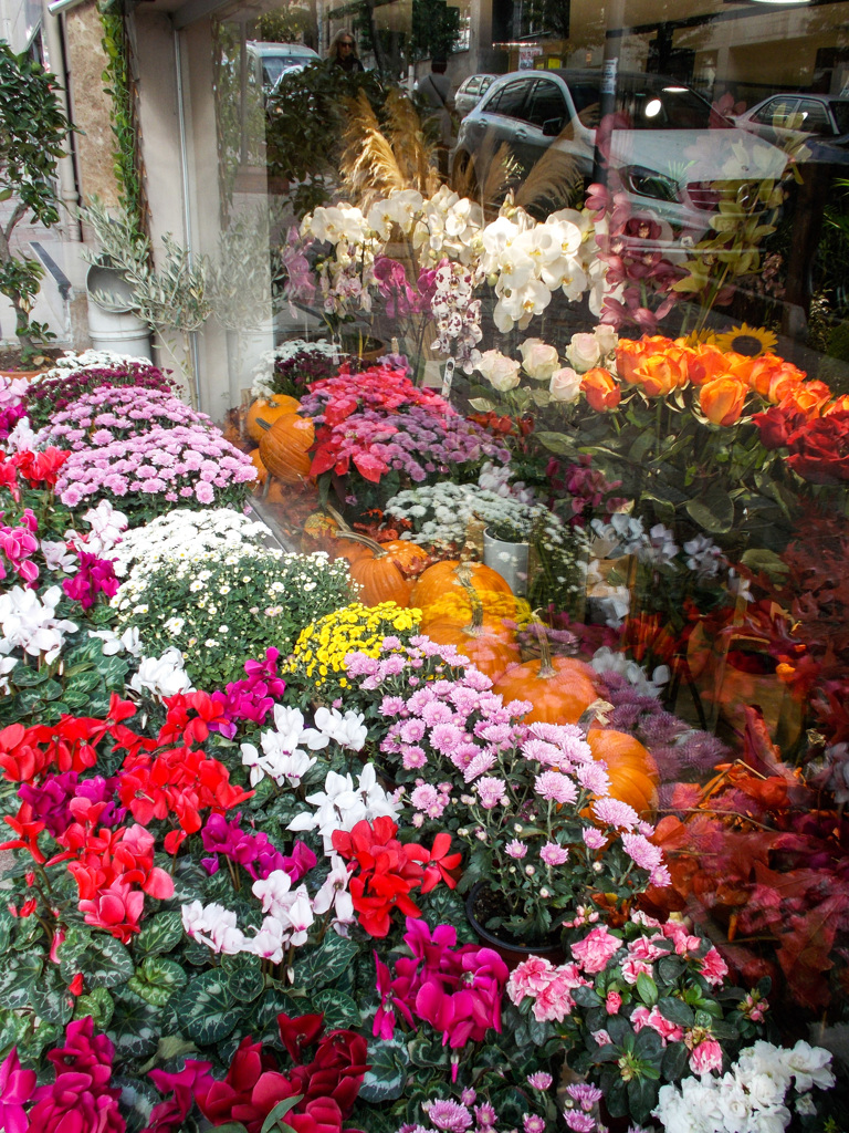 花屋で ハロウィーン用のカボチャ