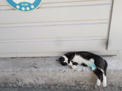 同じ色のペイント…！　何をして気絶したのか…？