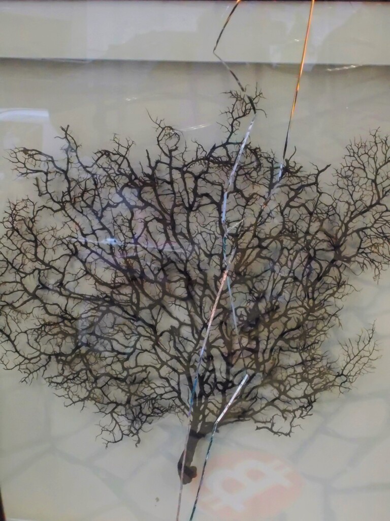 もう　戻れない…！