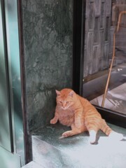 ”おはよ　おっちゃん（この子）また太ったね”って挨拶した直後～