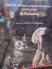 家族の一員です…獣医より…