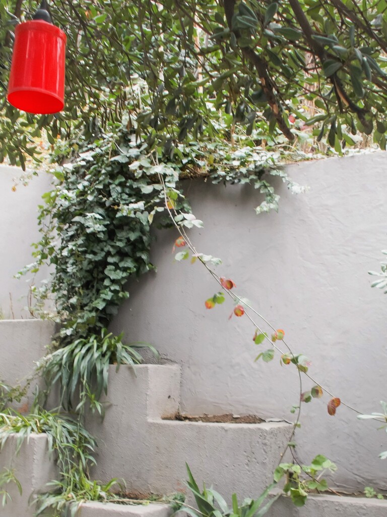 赤の落とし子…　動かせない証拠…！