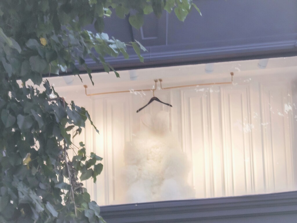 守りたいもの～♡