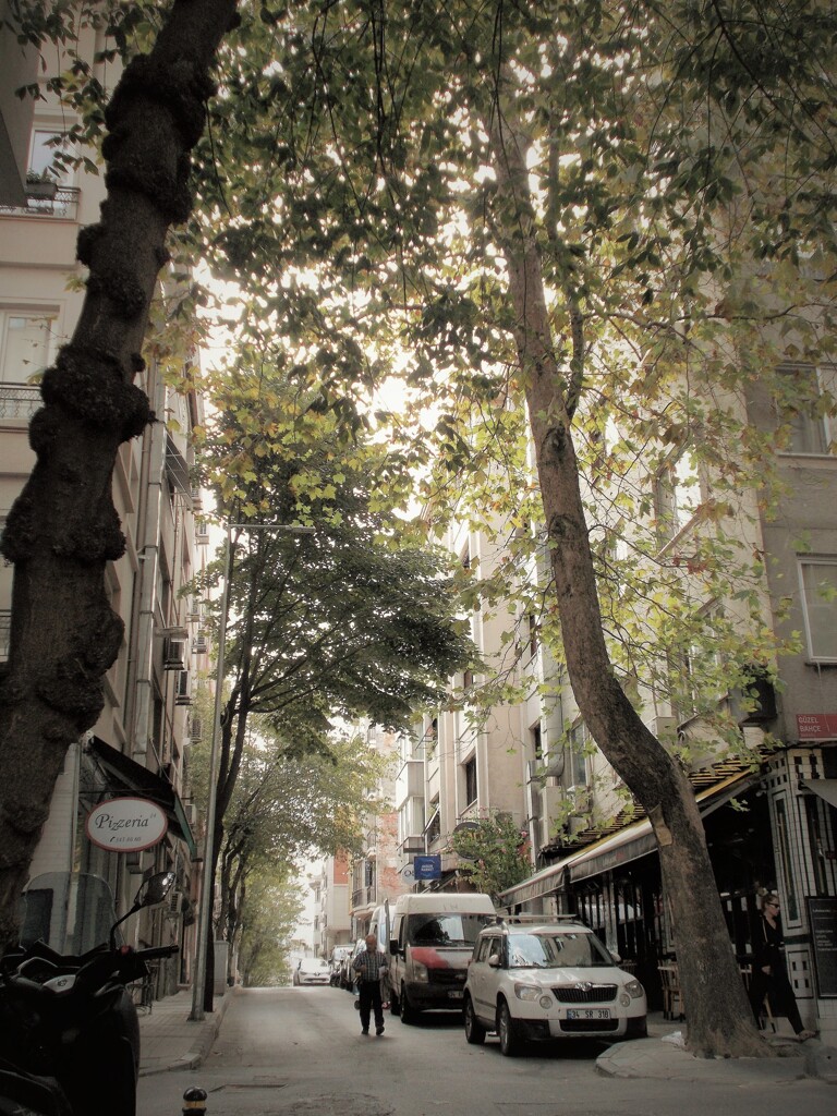 夏が過ぎ～～風あざみ～～♪