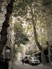 夏が過ぎ～～風あざみ～～♪