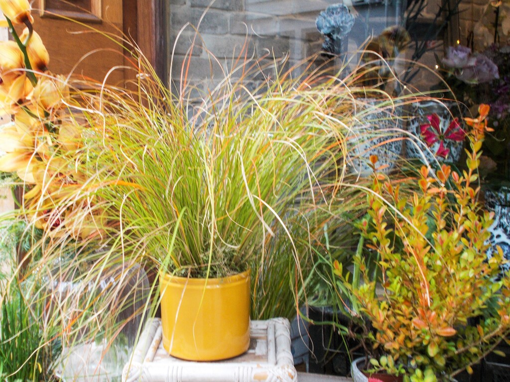 フンワリちょっと秋色～