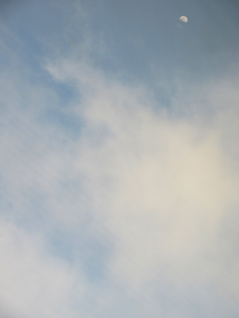 昼の月…