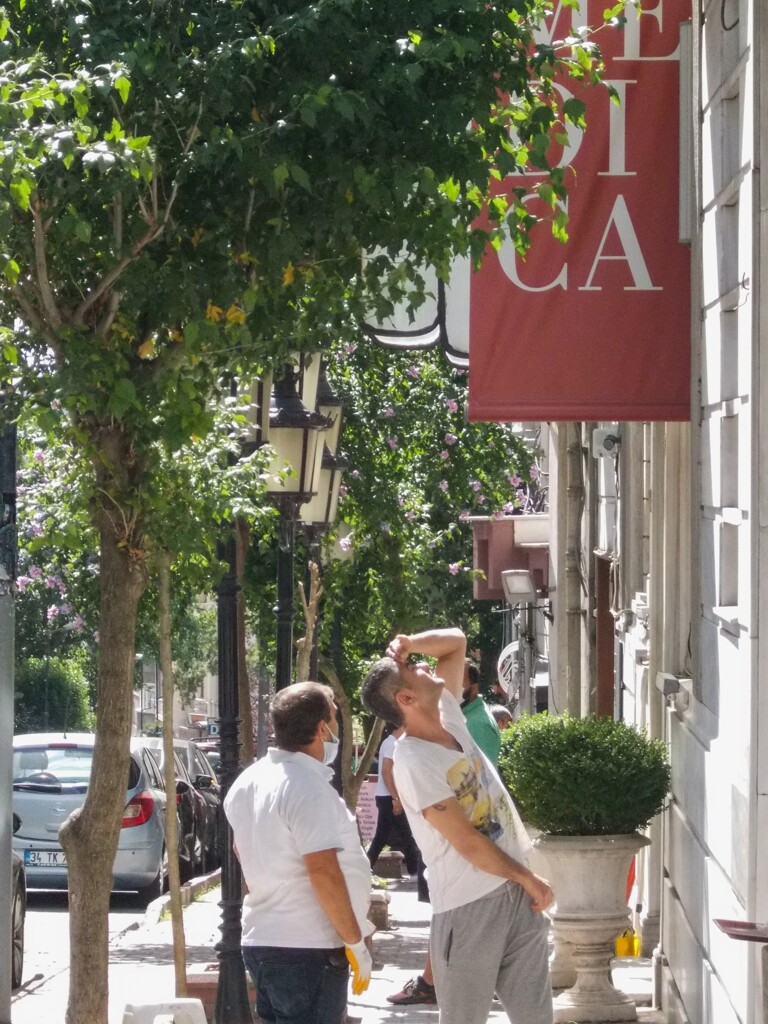 修理箇所確認する職人さん～