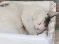 子育て疲れ…きっと…