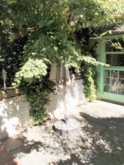 緑のお星さま＊＊＊パチパチ＊＊＊