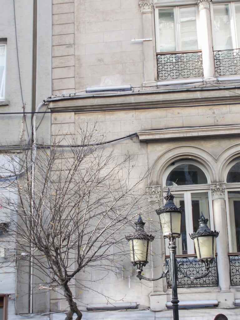 冬の霜のように…鋭く刺さる…