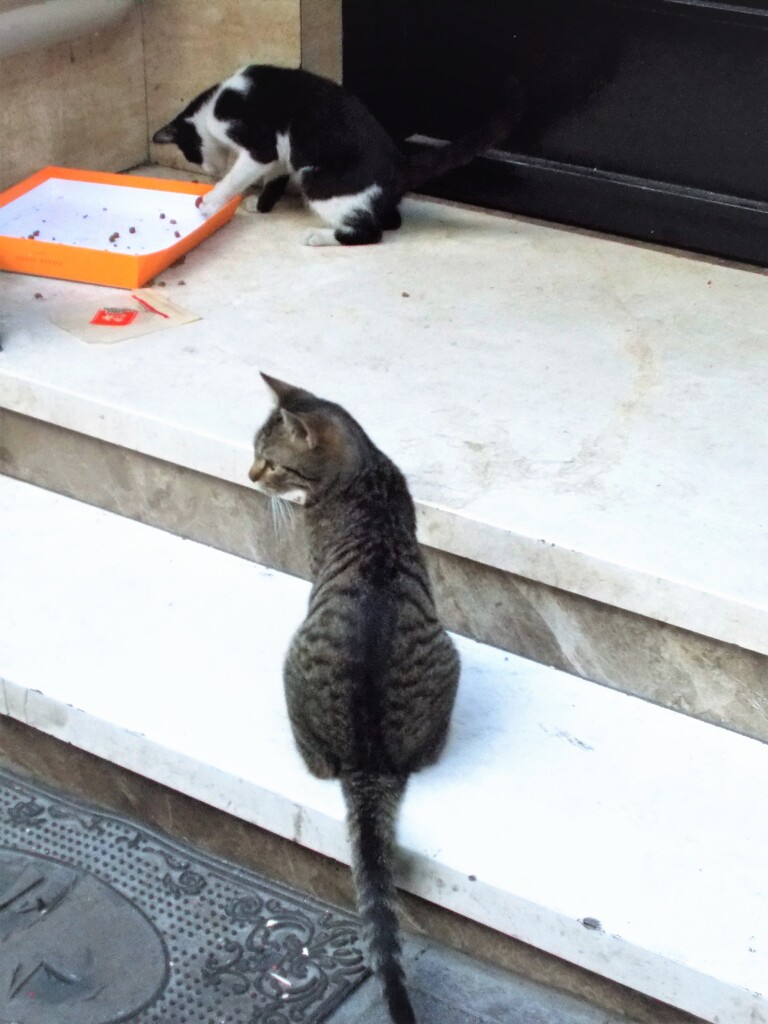 ヤンチャ盛り～～