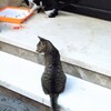ヤンチャ盛り～～