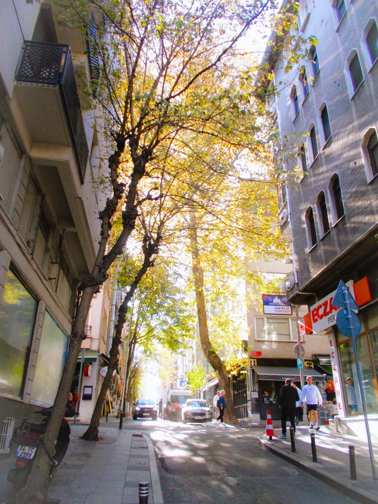 朝陽が照らす道～～☆