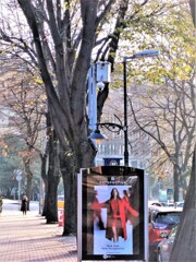 new year  new perspective～☆