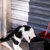 こだわり～～♪☆