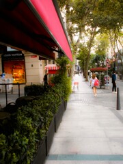 秋に吹く風～～色なき風っていうけど～