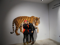 美しいトラ達～