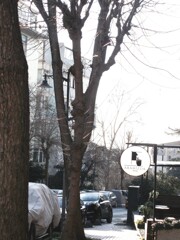 ほら…　春の音が…