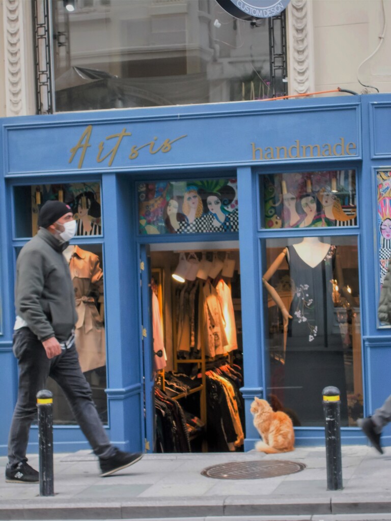 blue & grey～♪～.。o○