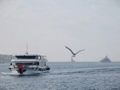 ボスパラス海峡のカモメ～～