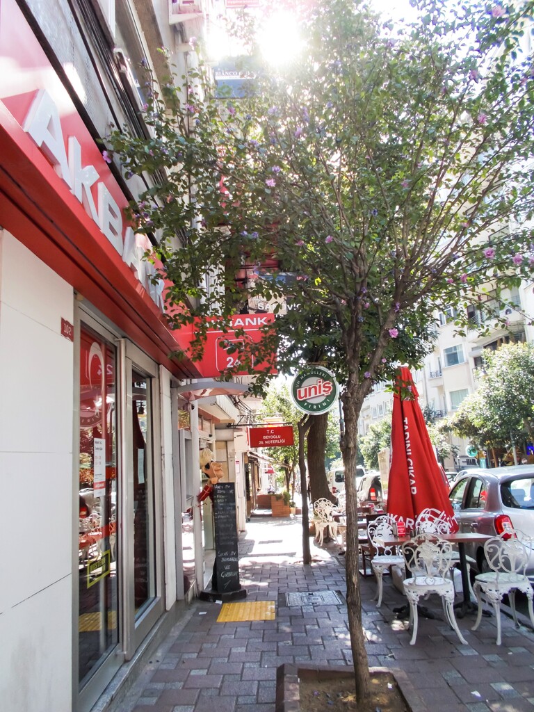 小鳥たちのさえずり…聞こえますか…♪