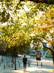 秋麗～　彼女も麗～°˖✧　✧˖°～