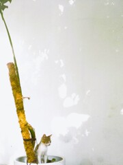 もう強い朝陽にボウゼンのお子ちゃま～～♡