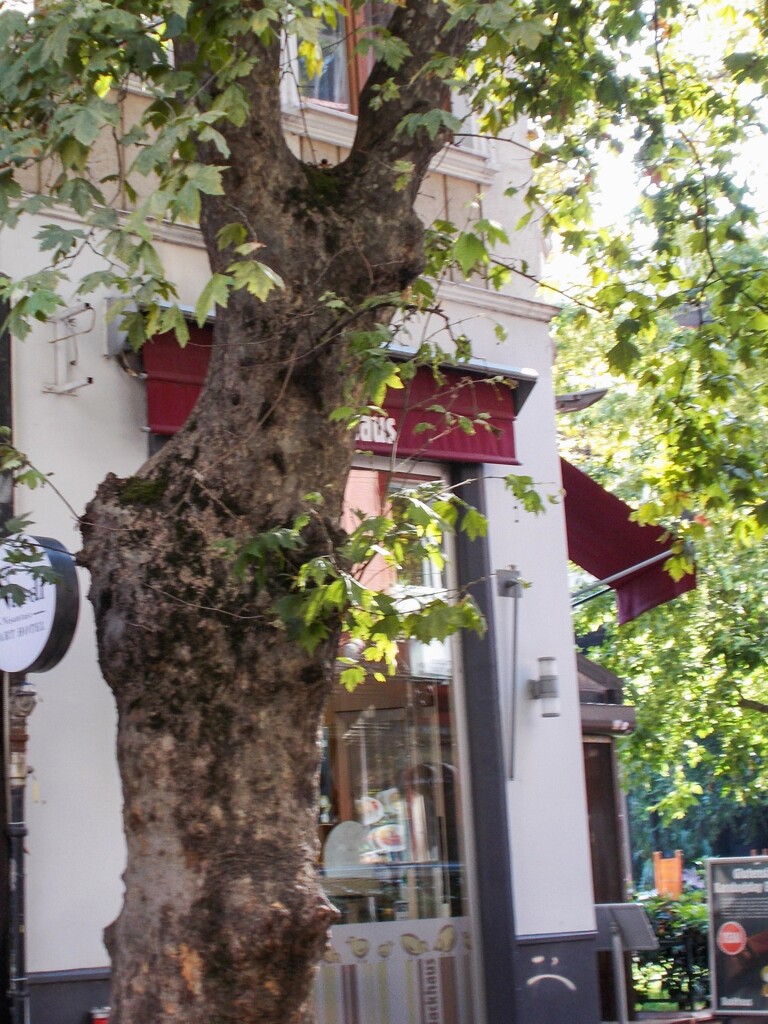 菩提樹わきのベーカリー～♬