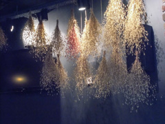 カフェの壁～☆～