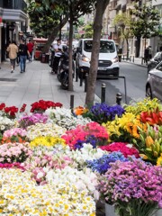 通りのジプシーの花売り～❀