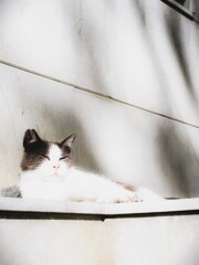 モノクロームな気分…