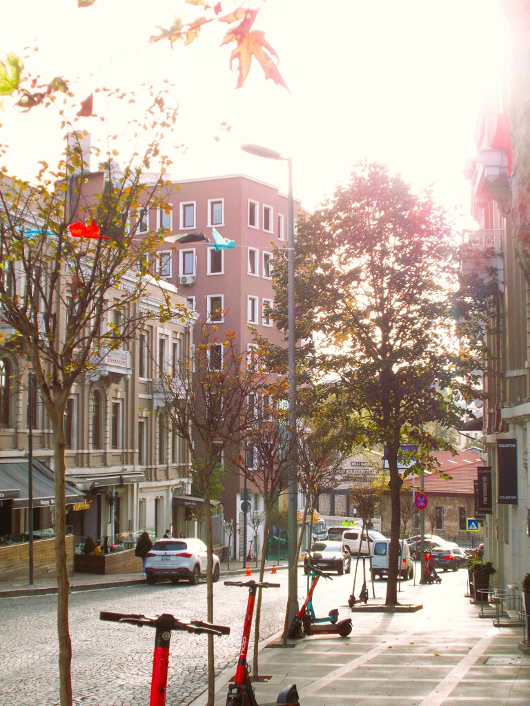 坂道下り切って～　海浜道路を渡るとボスポラス海峡～♪