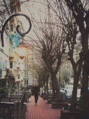 春への準備万端な街路樹達～～♪