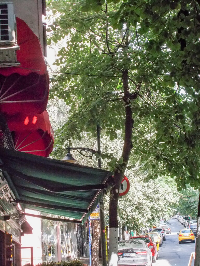 住宅街外れのカフェ～