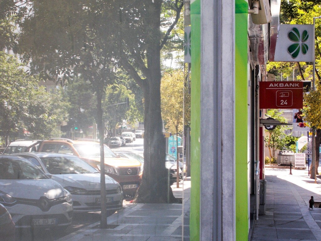 夏の朝～　ATMが気になって仕様がないカラス＊＊＊