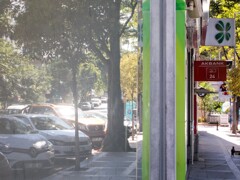 夏の朝～　ATMが気になって仕様がないカラス＊＊＊