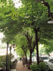 物語の中のパリジェンヌみたい…？