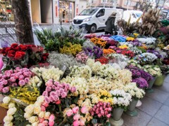 ジプシーのお花屋～♪